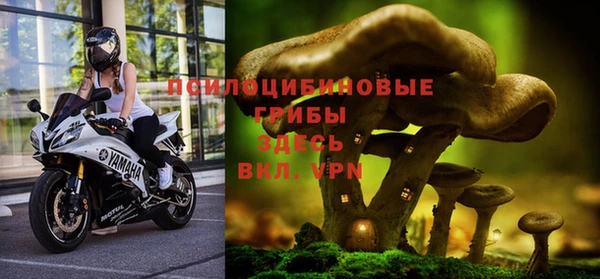 таблы Щигры