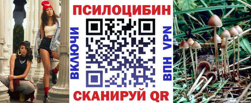 Галлюциногенные грибы GOLDEN TEACHER  Купить где  Суровикино 